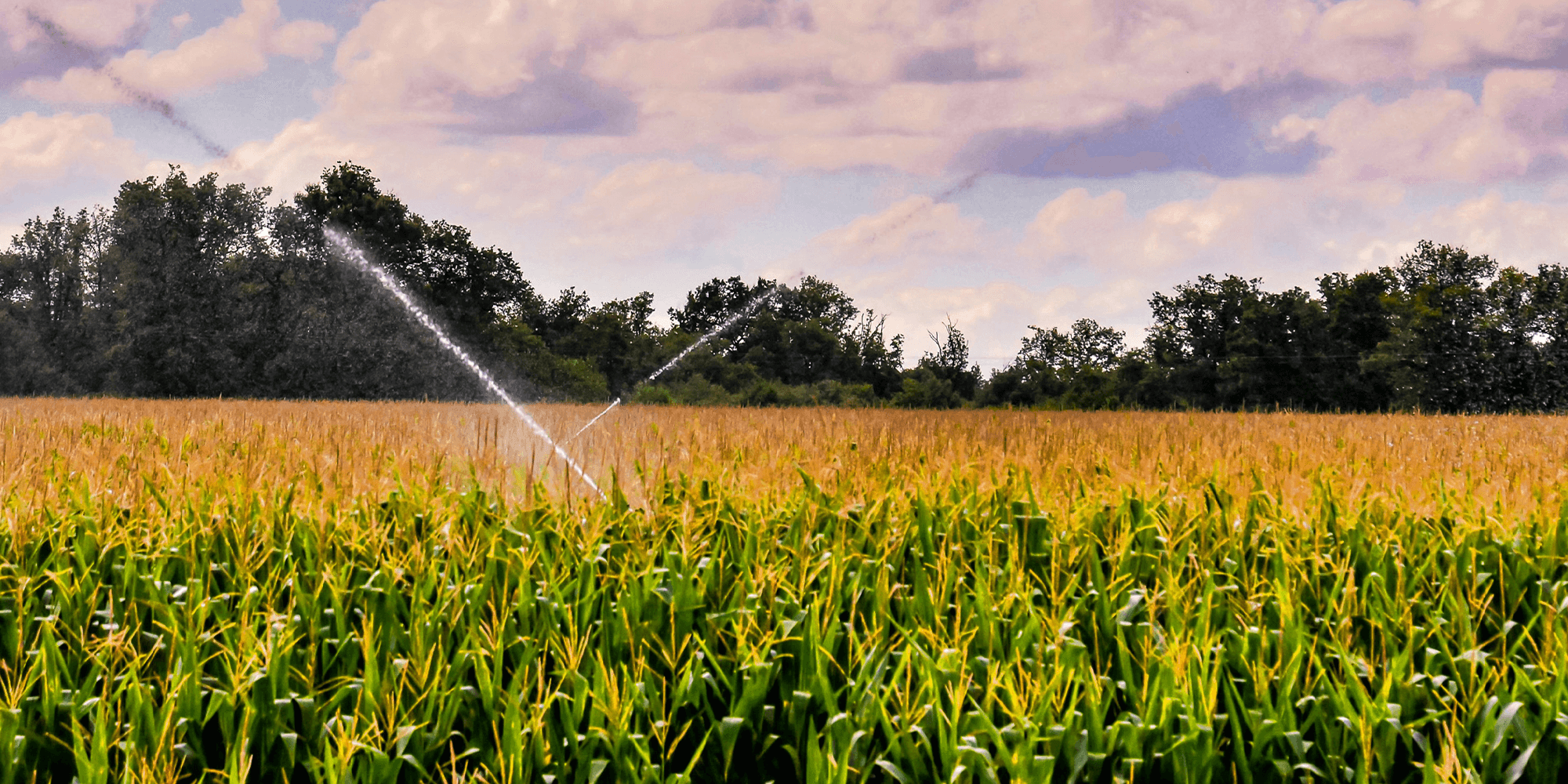 Agricultural irrigation